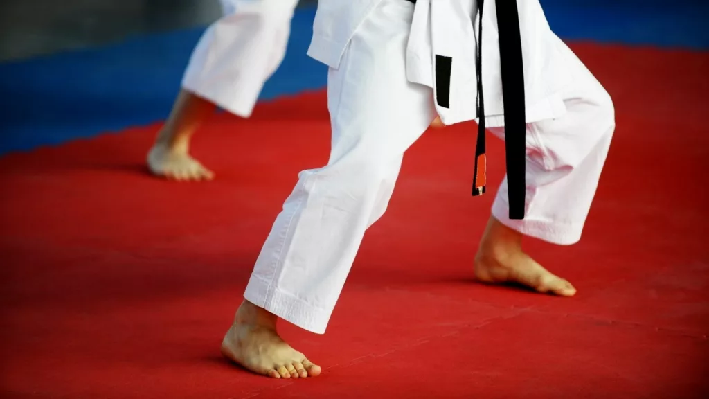 Karate (Arts Martiaux)